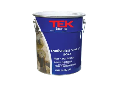 Endüstriyel Son Kat Boya